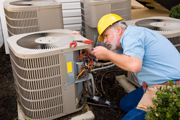 Best HVAC air duct cleaning  in Borden, IN